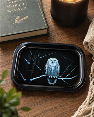 Snowy Owl Metal Tray