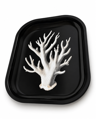 White Coral Metal Tray