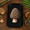 Morel Mushroom Metal Tray