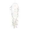 Five Snow Beauty Dream Catcher