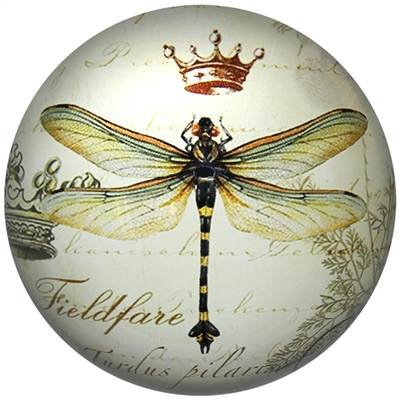 Glass Paperweight Dragonfly