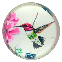 Hummingbird Dome Paperweight