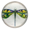 Green Dragonfly Glass Paperweight