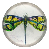 Green Dragonfly Glass Paperweight