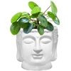 Buddha Bust Porcelain Planter Pot