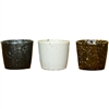 Cottage Garden Ceramic Pot Asst