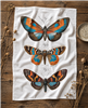 Vintage Moth Flour Sack Tea Towel