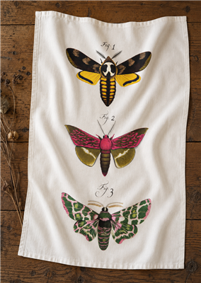 Vintage Moth Flour Sack Tea Towel