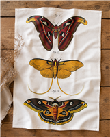 Vintage Moth Flour Sack Tea Towel