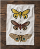Vintage Moth Flour Sack Tea Towel