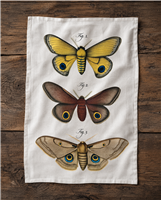 Vintage Moth Flour Sack Tea Towel