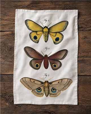 Vintage Moth Flour Sack Tea Towel