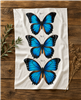 Blue Morpho Flour Sack Tea Towel