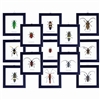 Bug Frame Collection