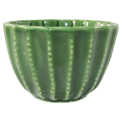 Barrel Cactus Cup Medium