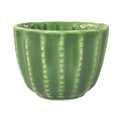 Barrel Cactus Cup Small