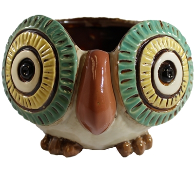 Olinda Baby Owl Ceramic Planter Pot