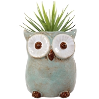 Ceramic owl vase or planter.